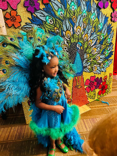 AM- 18/3-2/4 Peacock glitz OOC