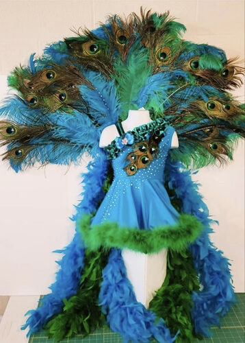 AM- 18/3-2/4 Peacock glitz OOC