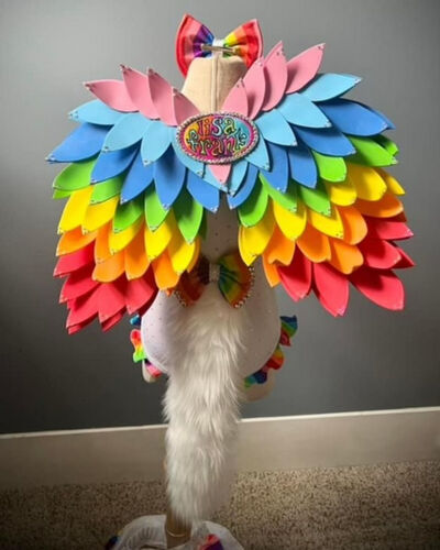 AM- 12/2 Lisa Frank angel kitty OOC/ swim