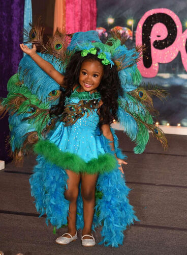 AM- 18/3-2/4 Peacock glitz OOC