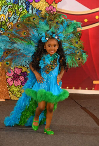 AM- 18/3-2/4 Peacock glitz OOC