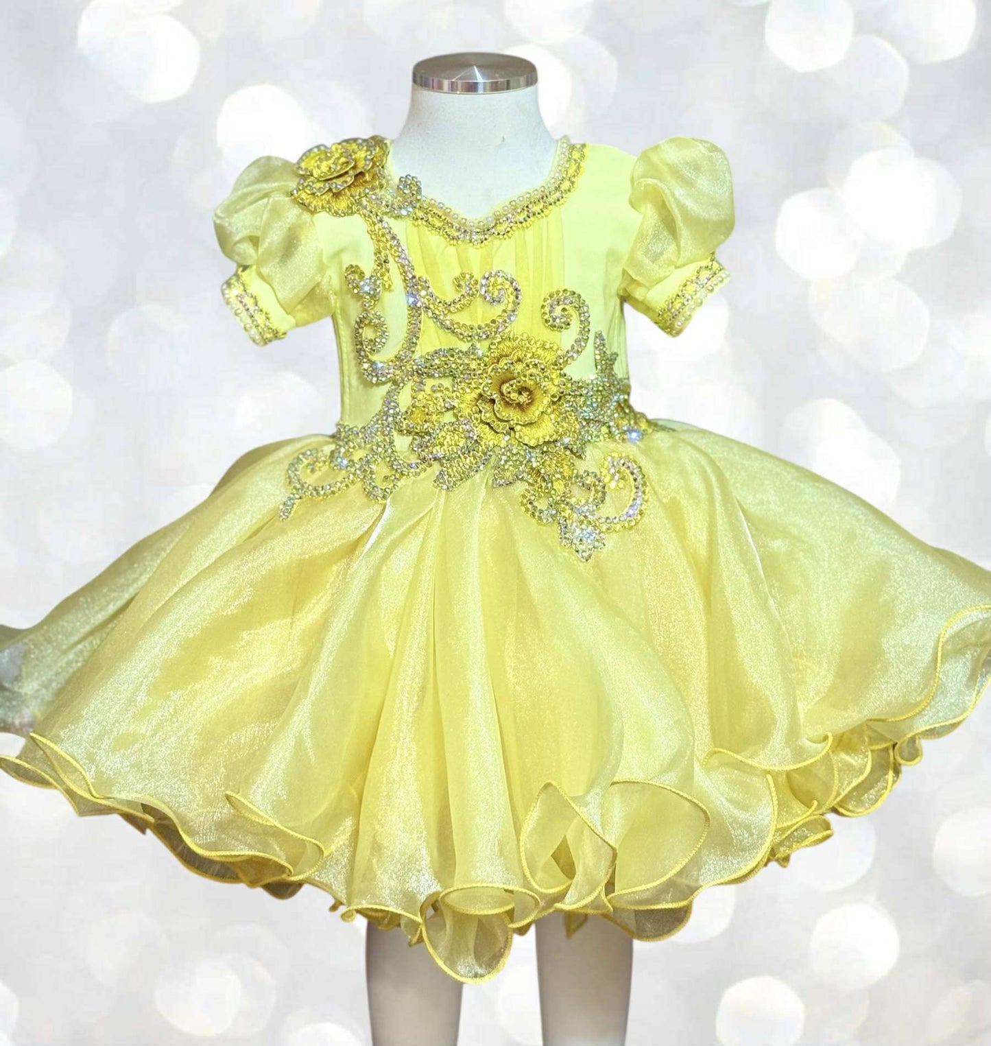 TT- Yellow Beauty Brianna K- Queen B 12/3