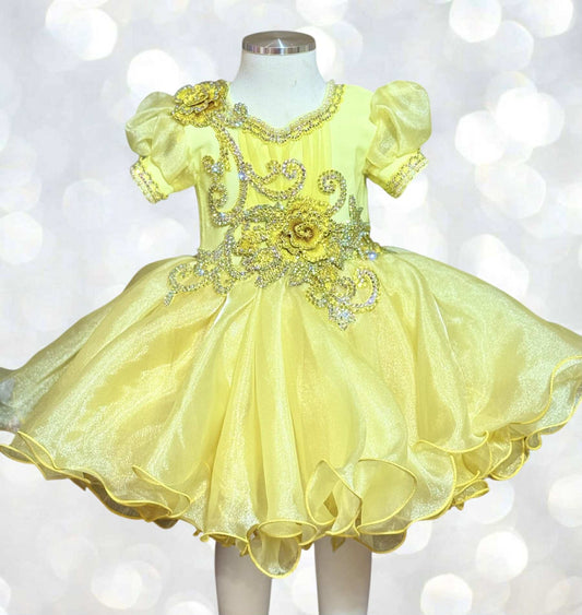 TT- Yellow Beauty Brianna K- Queen B 12/3