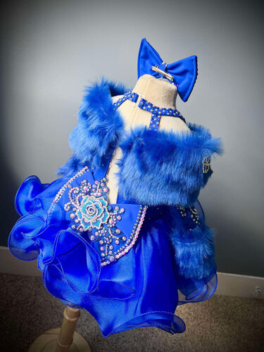 AM- Boo Bear  Royal blue Glitz Dress 12/2- 18/3