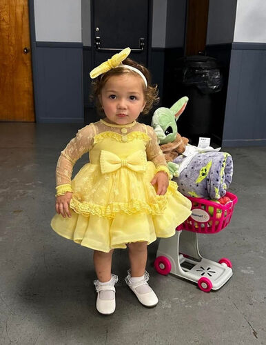 AM- 12/2 Yellow dollhouse natural dress