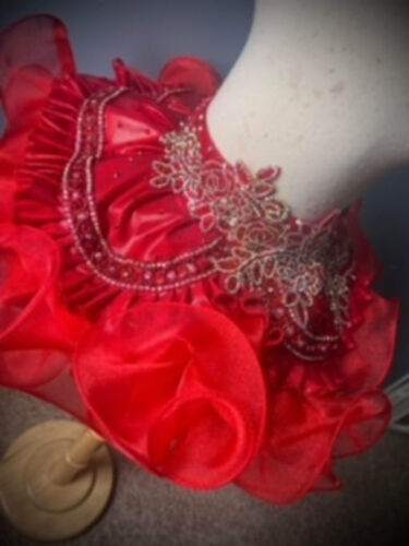 AM- 12/2 Boobear Mega Glitz Western Wear OOC